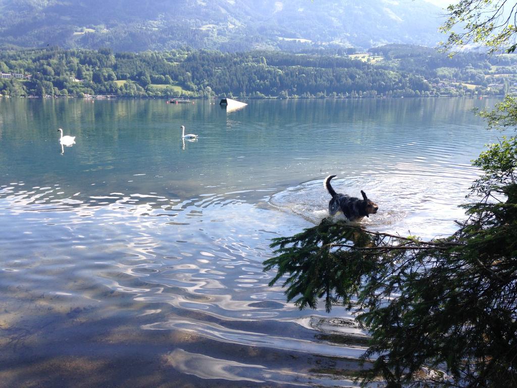 Ruhige Wohnung Mit Schoenem Eigengarten In Seeboden Am Millstaettersee Værelse billede