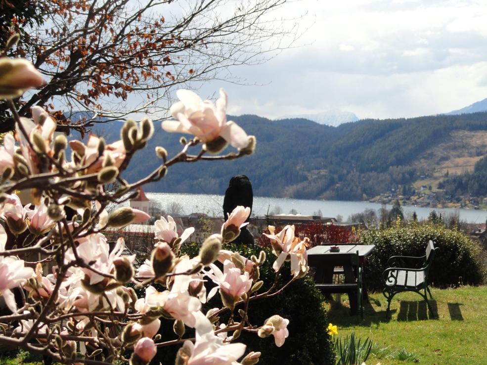 Ruhige Wohnung Mit Schoenem Eigengarten In Seeboden Am Millstaettersee Eksteriør billede