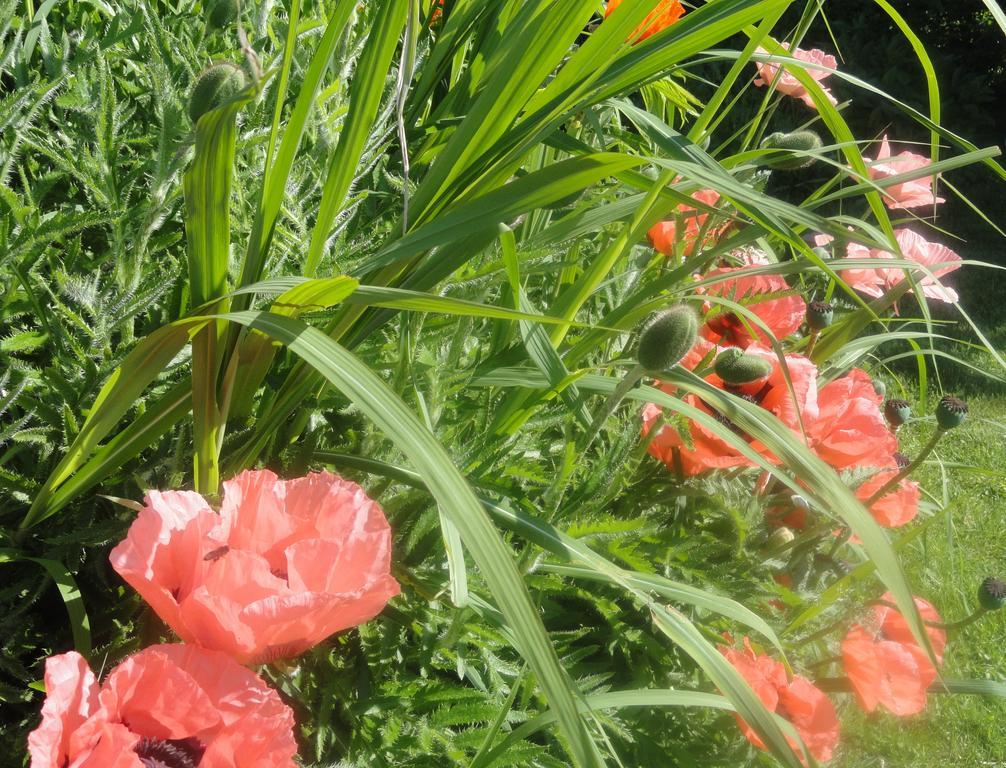 Ruhige Wohnung Mit Schoenem Eigengarten In Seeboden Am Millstaettersee Eksteriør billede